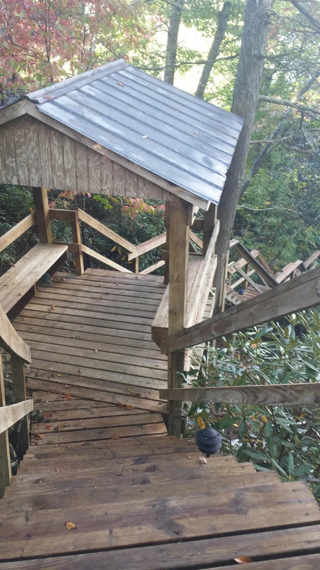 Metal roofed shelter over wooden steps on a wooded walkway — Skylight Repair & Installation work by our crew in Olive Branch
