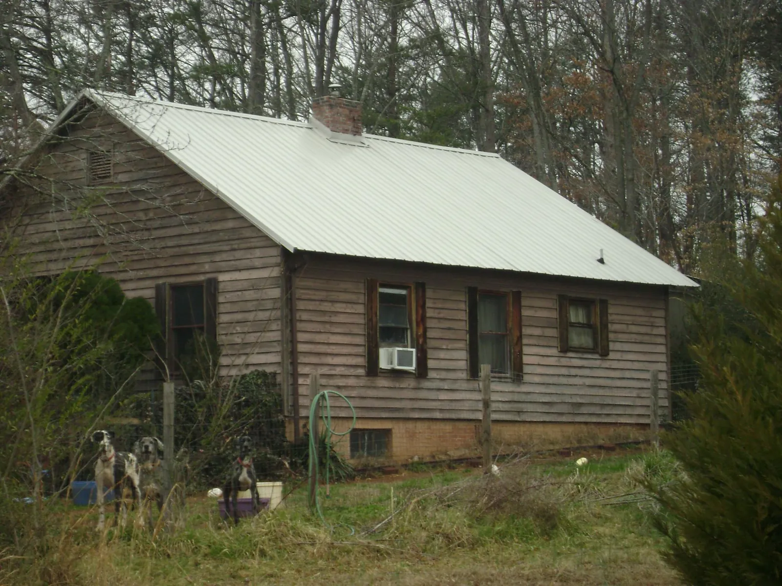 White metal roof on an old wood sided farmhouse, from a Asphalt Shingle Roof Repair job in Olive Branch